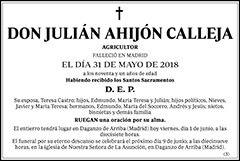 Julián Ahijón Calleja
